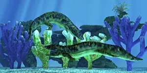 Paleozoic: Two Dendrerpetons fight over territorial rights