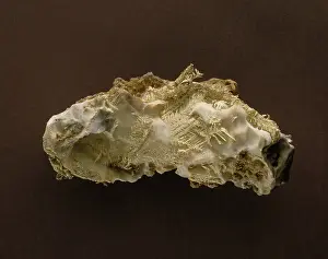 Branched: Dendritic gold growth