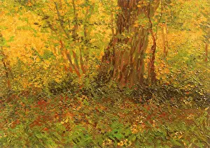 Dense: Dense Undergrowth, by Van Gogh