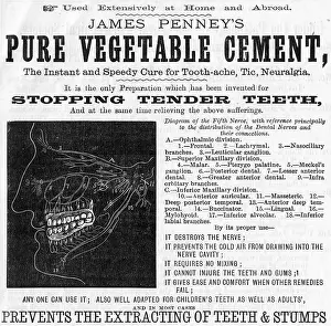 Prevention: Dental advert, Pure Vegetable Cement