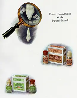 Tooth: Dental Products, Claudius Ash, Sons & Co Ltd