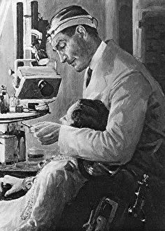 Dentists: The Dentist by Sir John Lavery