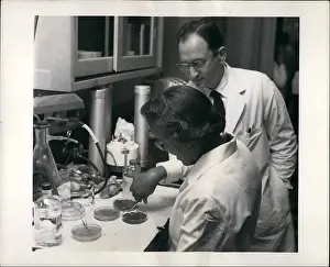 Salk: Dentists - Doctors - Inventors - Medicine - Science