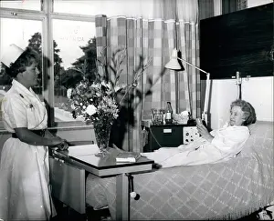 Murals: Dentists - Doctors - Inventors - Medicine - Science