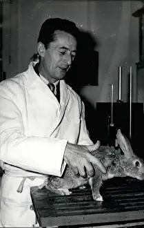 Hibernation: Dentists - Doctors - Inventors - Medicine - Science