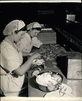 Nellie: Dentists - Doctors - Inventors - Medicine - Science