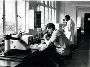 Wilts: Dentists - Doctors - Inventors - Medicine - Science