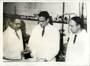 Collaborators: Dentists - Doctors - Inventors - Medicine - Science