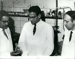 Collaborators: Dentists - Doctors - Inventors - Medicine - Science