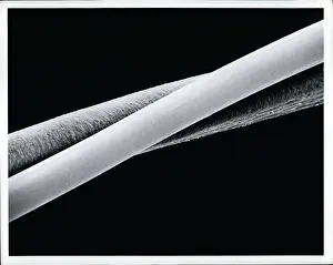 Applications: Dentists - Doctors - Inventors - Medicine - Science