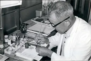 Comparing: Dentists - Doctors - Inventors - Medicine - Science