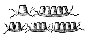 Filament: Dentures fixed with filament, 1545 - 1556