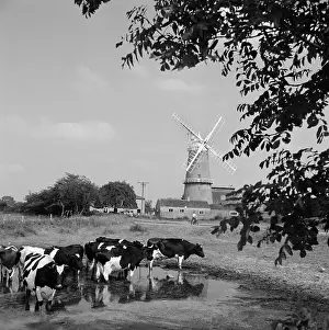 Denver Mills, Norfolk