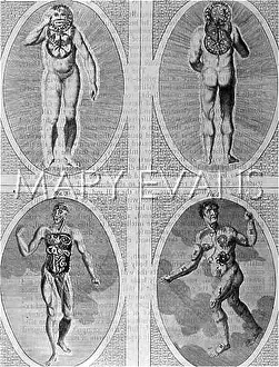 Unnatural: Depiction of the cosmic influences on Man