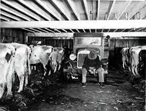 DEPRESSION/WISCONSIN MILK STRIKE-Thousands ?