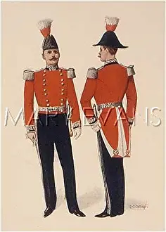 Lieutenants: DEPUTY LIEUTENANTS