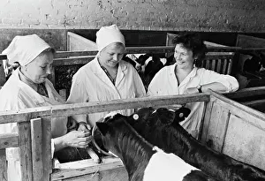 Delegate: Deputy of Supreme Soviet of RSFSR N. Savina, workers