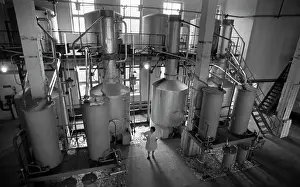 Distillation: Derbent Cognac House