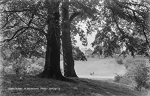 Derwent: Derby in Derwent Park