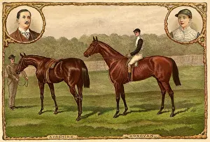 Adorn: Derby Winners