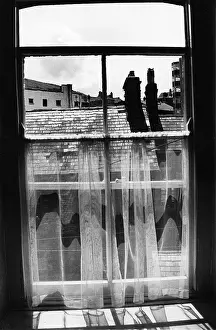 Uneven: Derelict urban view through a window with net curtain