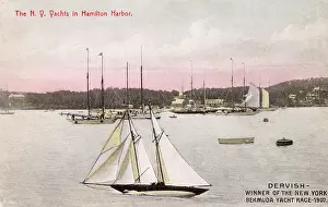 Habour: Dervish Yacht in Hamilton Harbour, Bermuda