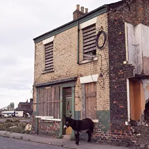 Decline: Des Res with Donkey Parking. Middlesbrough 1970s