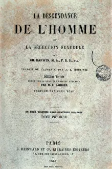 Homme: The Descent of Man