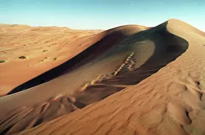 Emirate: Desert in Dubai, 1999