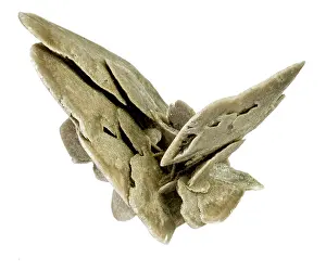 Sulphate: Desert rose