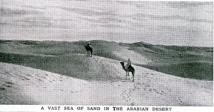 Desert Sands, Arabia