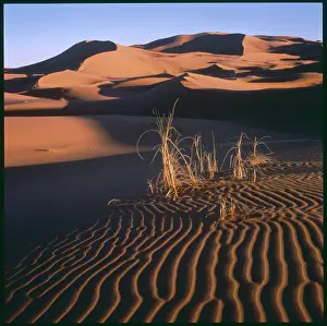 Merzouga: DESERT SCENERY/MOROCCO