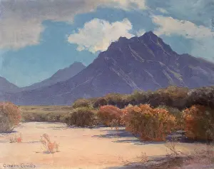 Deserts: Desert Wash