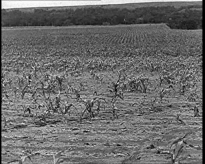 Industrialisation: Deserted Land and Corn Fields Dying Because