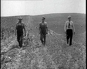 Industrialisation: Deserted Land and Corn Fields Dying Because