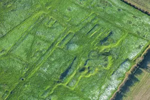 Earthwork: Deserted medieval village of Gainsthorpe, Hibaldstow, Lincs