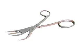 Collectable: Desideratum combined knife/scissors and fork