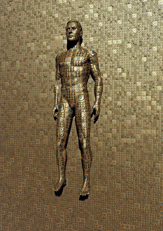 Changing: The design and construction of robots and androids