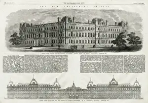 Messer: design for the foreign department