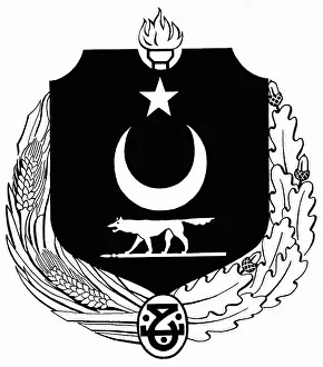 Remained: Design of a state emblem of Turkey, 1925