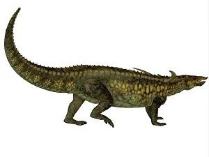 Desmatosuchus: Desmatosuchus armored dinosaur
