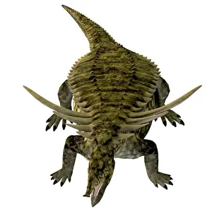 Archosaur: Desmatosuchus armored dinosaur