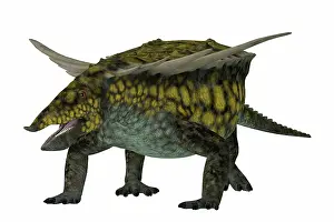 Archosaur: Desmatosuchus armored dinosaur, front view on