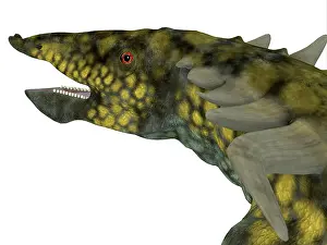 Archosaur: Desmatosuchus dinosaur head