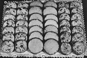 Wafer: Dessert Macaroons and Tea Breads