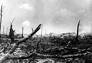 Ardennes: Destroyed battlefield, 1915