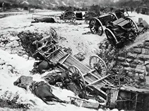 Tagliamento: Destroyed Italian artillery