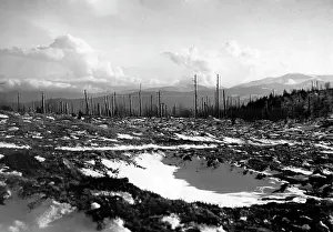 Armand: Destroyed landscape in the Vosges