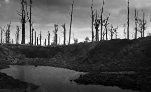 Amidst: Destroyed landscape on the Western Front during the First Wo
