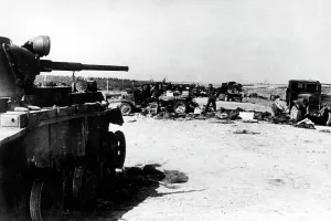 Swamps: Destroyed Soviet convoy, 1941